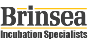 Brinsea