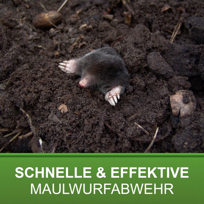 5x Maulwurf Lebendfalle Ø50x200mm - Röhrenfalle für Maulwürfe und Wühlmäuse