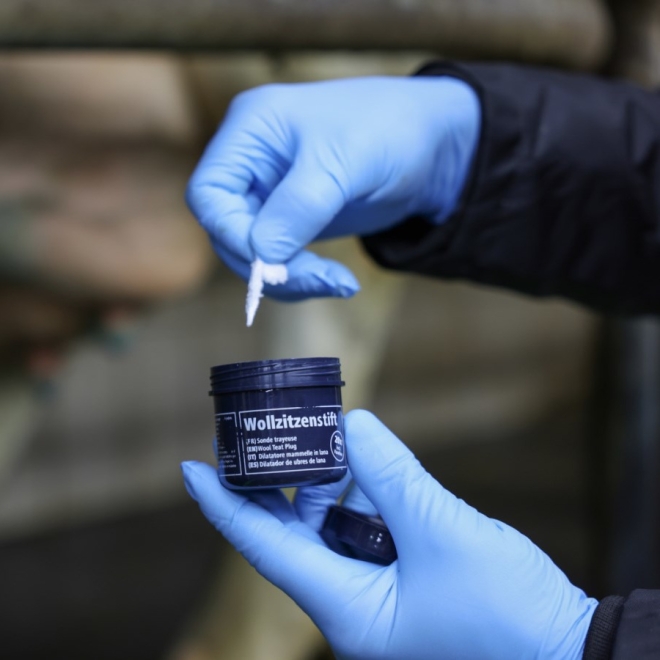 20x Wollzitzenstifte mit Vaseline, zum Einlegen in den Zitzenkanal