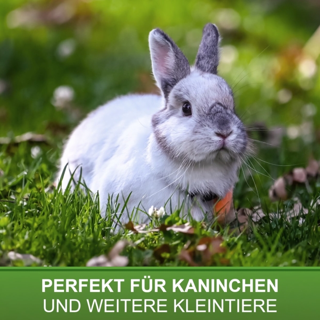 Kleintiertränke 1 Liter, Kaninchentränke mit Tränkenippel, Nippeltränke für Kaninchen