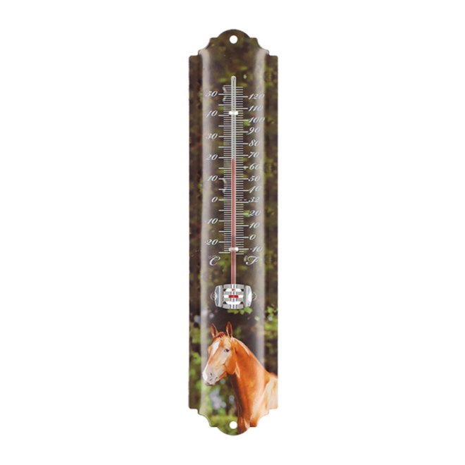 Thermometer Bauernhoftiere sortiert, Höhe ca. 30 cm