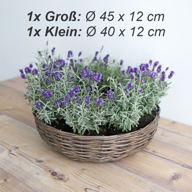 Weidenkränze zum Bepflanzen Pflanzringe Weide Kranz Pflanzkorb Deko Korb 2er Set