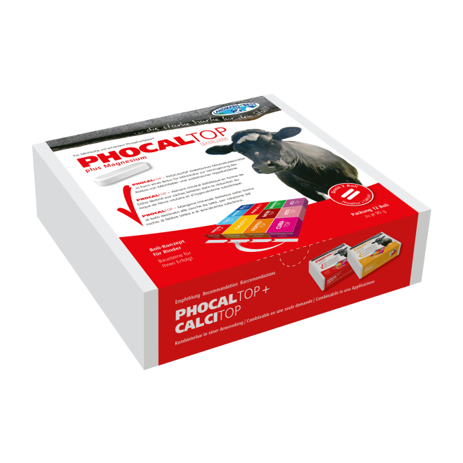PHOCALTOP Phosphor Bolus - Futterergänzung Milchfieberprophylaxe - 12 Boli à 90g