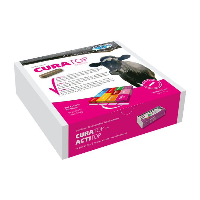 CURATOP Trockensteher Bolus - Futterergänzung Spurenelemente + Vitamine - 6 Boli à 110g