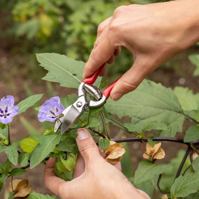 Esschert Design Mini Gartenschere GT81 - kleine Blumenschere, Pflanzenschere