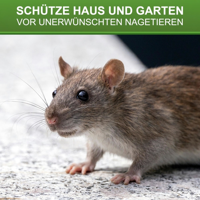 2x Köderstation Rattenbox 2er Sparset - Rattenköderstation - Köderbox für Ratten - 2 Stück