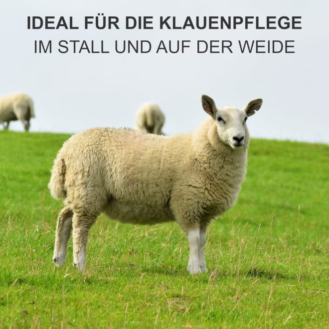 Klauenschere für Schafe und Ziegen - einseitig gezahnt - Hufschere zur Klauenpflege