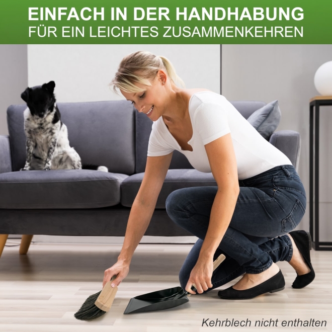 Handfeger Rosshaar 28cm, Buchenholz, Rosshaar-Handfeger für feinen Schmutz