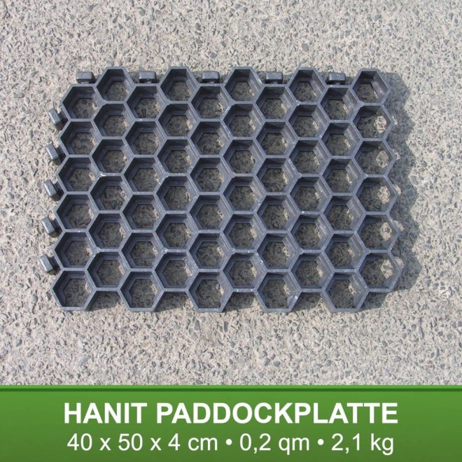 10x hanit Paddockplatte Recycling Kunststoff - Rasenwabe 40x50x4cm