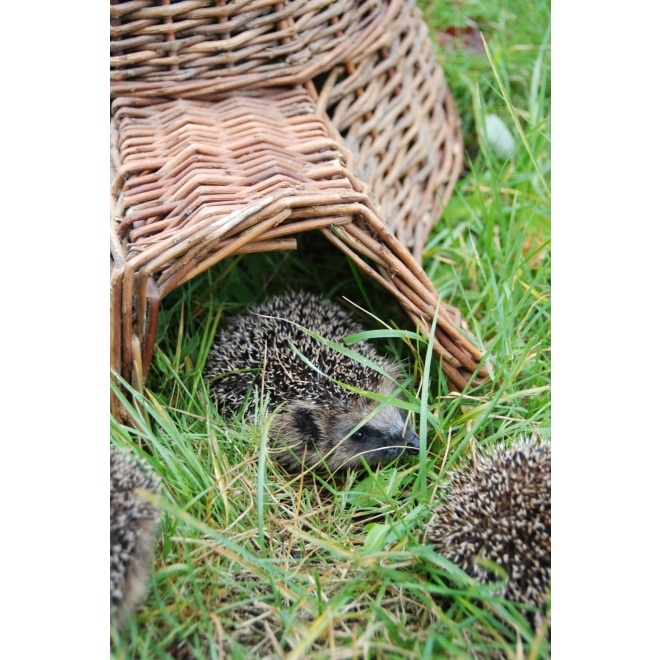 Esschert Design Igelkorb aus Weidenzweigen, Winter-Unterschlupf für Igel, WA06