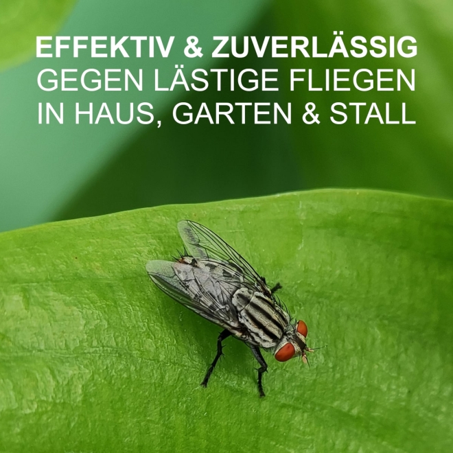 RedTop Fliegenfalle 3 Liter - Einwegmodell - Fliegenfänger für den Außenbereich
