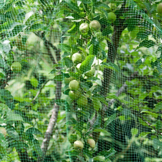 Windhager Vogelschutznetz 5x2m, Maschenweite: 15mm, Obstnetz, Teichnetz, Vogelnetz