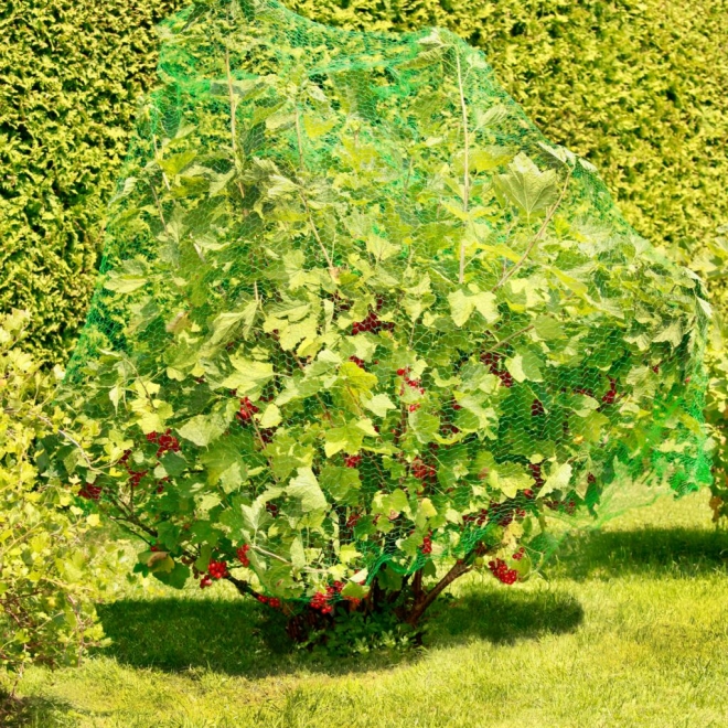 Windhager Vogelschutznetz 5x2m, Maschenweite: 15mm, Obstnetz, Teichnetz, Vogelnetz