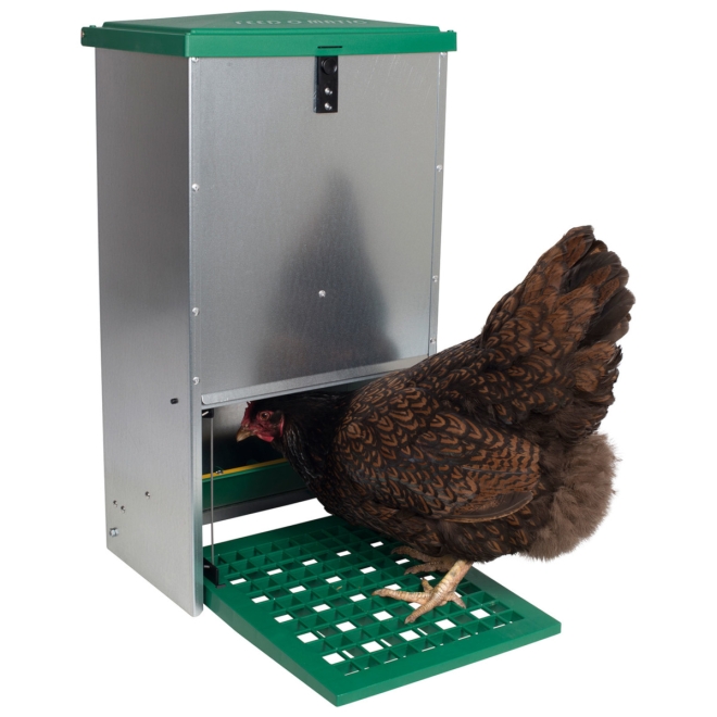 Feedomatic Geflügelfutterautomat 5kg, verzinkt, Hühner-Futterautomat mit Trittplatte