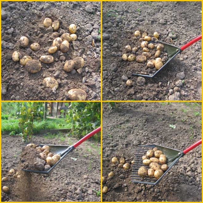 Golden Gark Laubharke 3in1, multifunktionales Gartengerät: Harke, Rechen, Schaufel