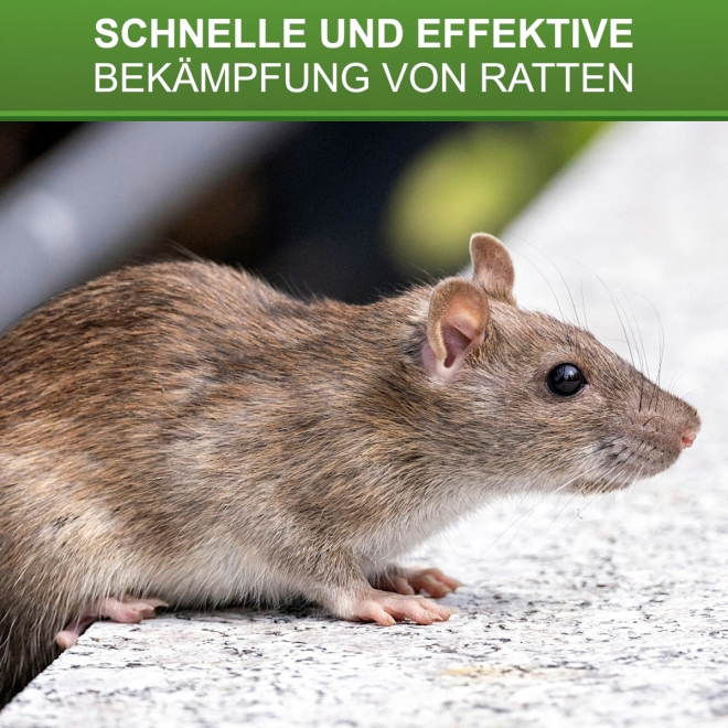 Drahtkasten Rattenfalle Alive - 1 Eingang - Drahtkäfig Lebendfalle für Ratten