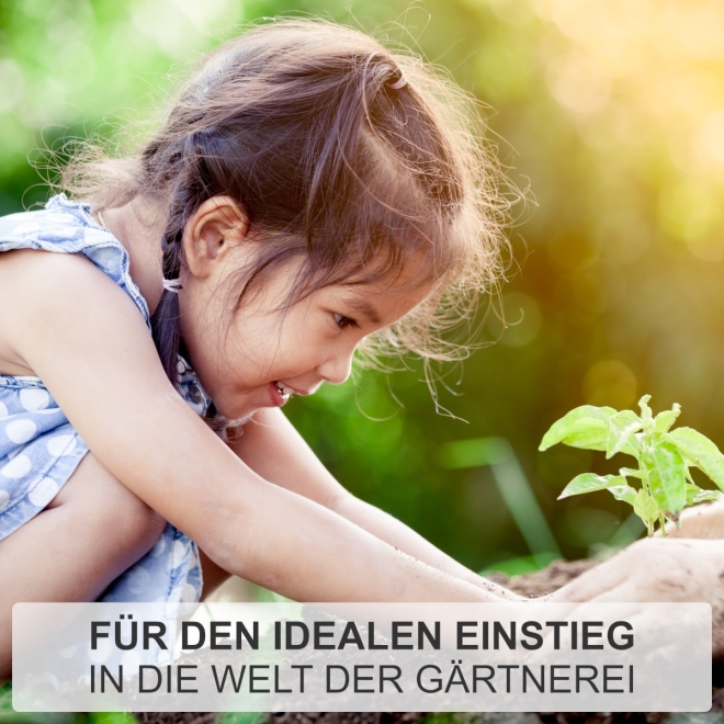 Emsländer Kinderschaufel mit T-Stiel 75cm, lackiert & poliert, kleine Schaufel für Kinder
