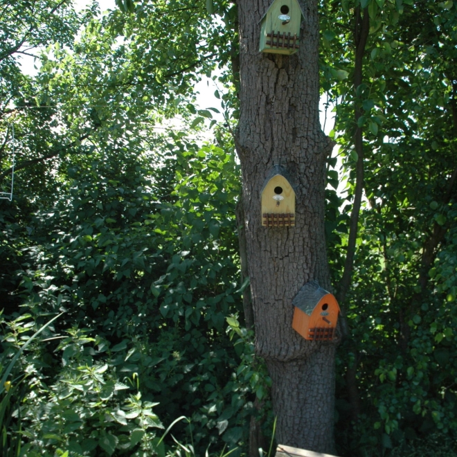 Esschert Design Nistkasten Haus mit Zaun, Vogelhaus, Brutkasten, farblich sortiert, NKH