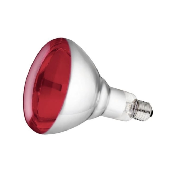 Philips Hartglas-Infrarotlampe, rot, 150 Watt, für Infrarot-Aufzuchtstrahler, Wärmestrahler