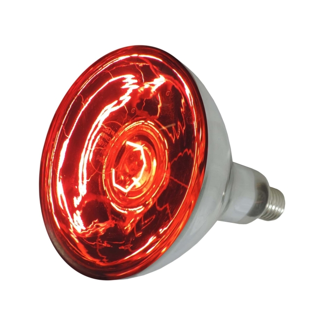 Eider Infrarotlampe, rot, 250 Watt, für Infrarot-Aufzuchtstrahler, Wärmestrahler