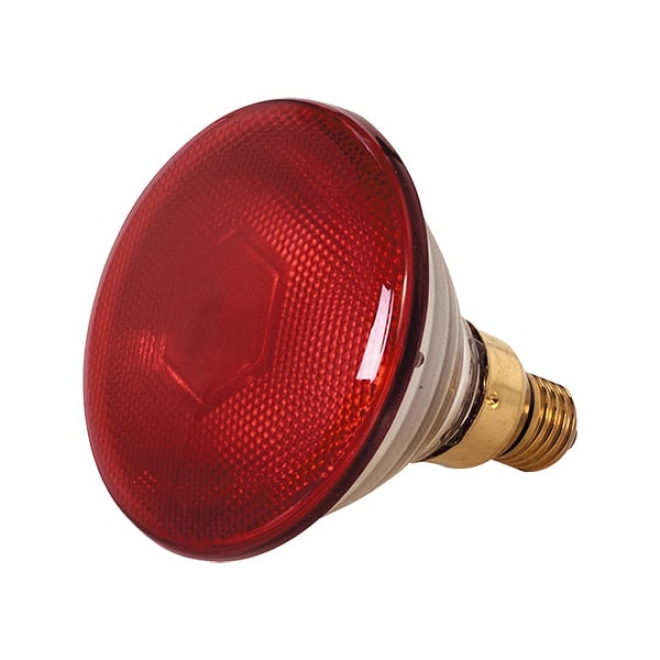 Infrarot-Sparlampe, rot, 100 Watt, für Infrarot-Aufzuchtstrahler, Wärmestrahler