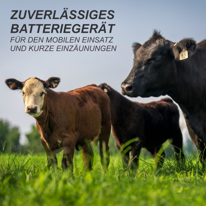Agrarflora Weidezaungerät AF15 - 9.200 Volt - 0,2 Joule - 9V Elektrozaungerät