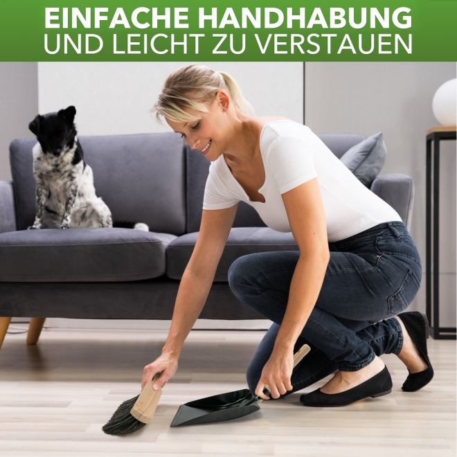 Kehrgarnitur: Kehrblech und Rosshaar Handfeger, Kehrset mit Naturborsten