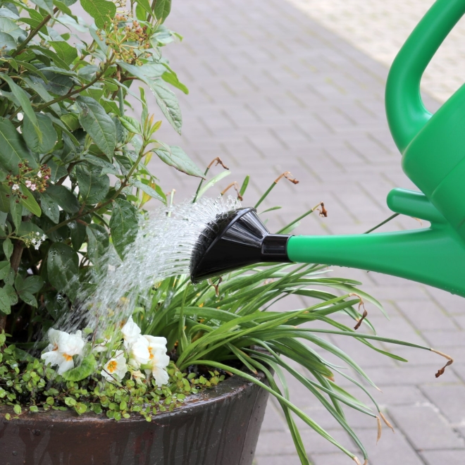 Gießkanne Kunststoff 10 Liter grün - Blumengießkanne, Gartengießkanne mit Brause