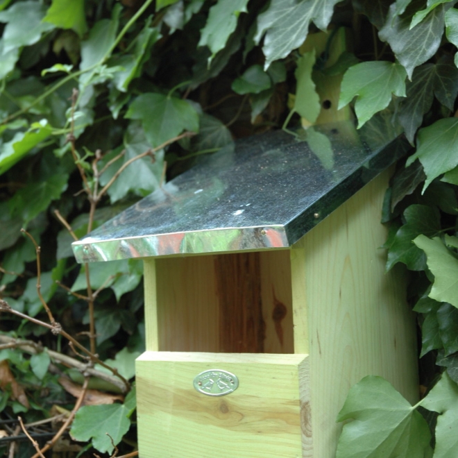 Esschert Design Nistkasten Rotkelchen - Vogelhaus für Rotkehlchen NKVV