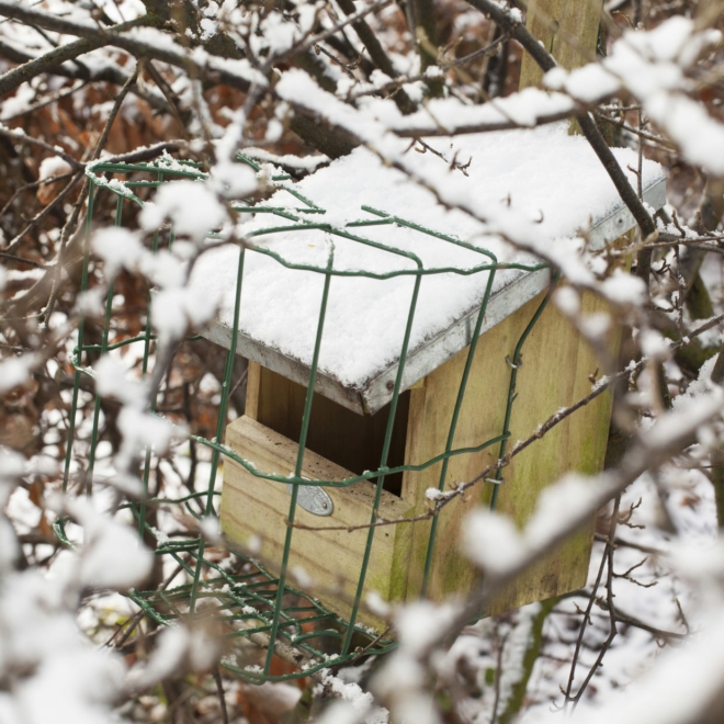 Esschert Design Nistkasten Rotkelchen - Vogelhaus für Rotkehlchen NKVV