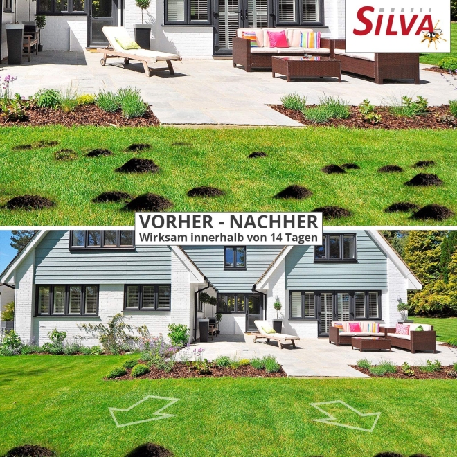 Silva Ex Maulwurfabwehr, 100 Kugeln, effektives Vergrämungsmittel gegen Maulwürfe