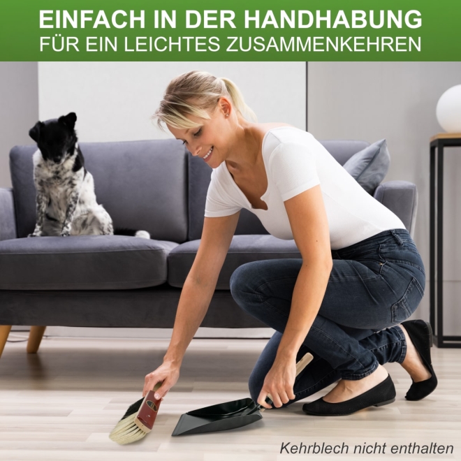 Stubenhandfeger Rosshaar 30cm, lackiertes Buchenholz, Handfeger für feinen Schmutz und Staub