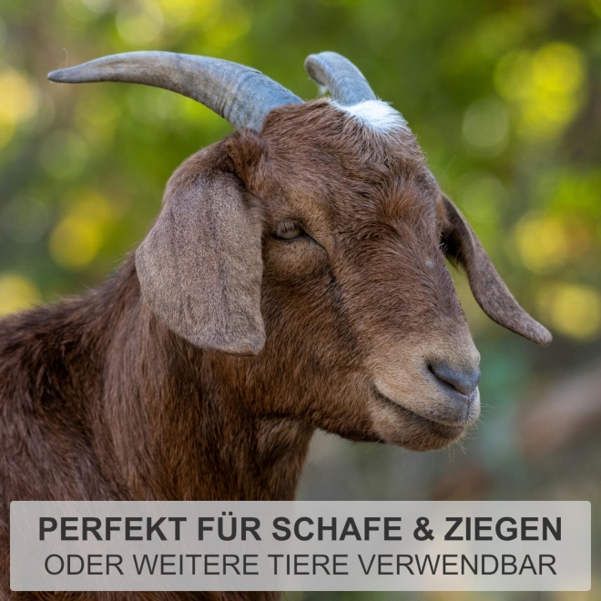 Halsriemen für Schafe, verstellbares Ziegenhalsband, Nylon & Leder, Grün, 60cm