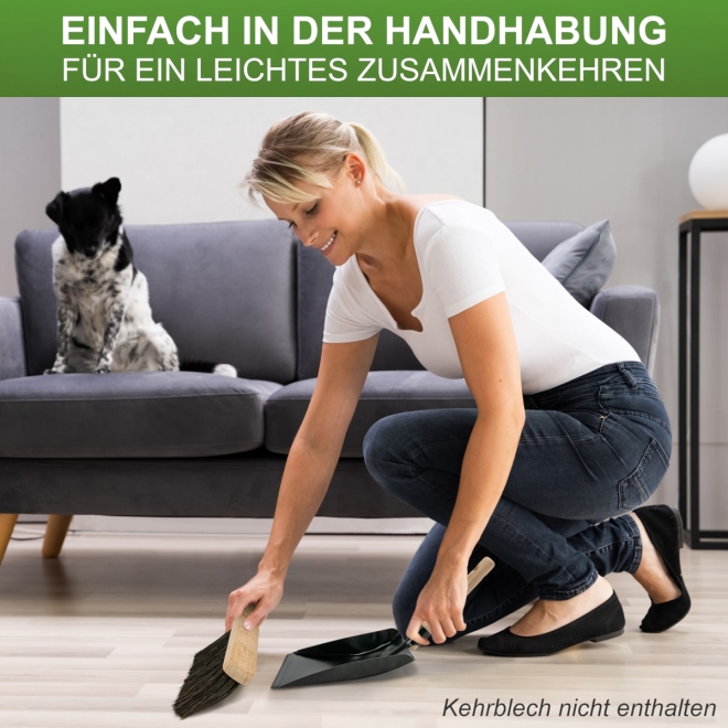 Langstiel Handfeger Arenga 43cm, Industriehandfeger, Handbesen mit langem Stiel