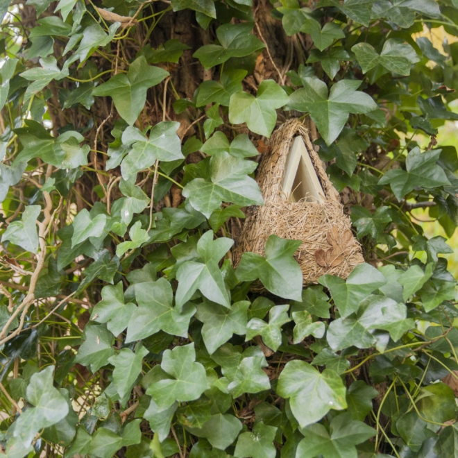 Esschert Design Nistkasten Camouflage, getarntes Vogelhaus für Zaunkönig, NK70