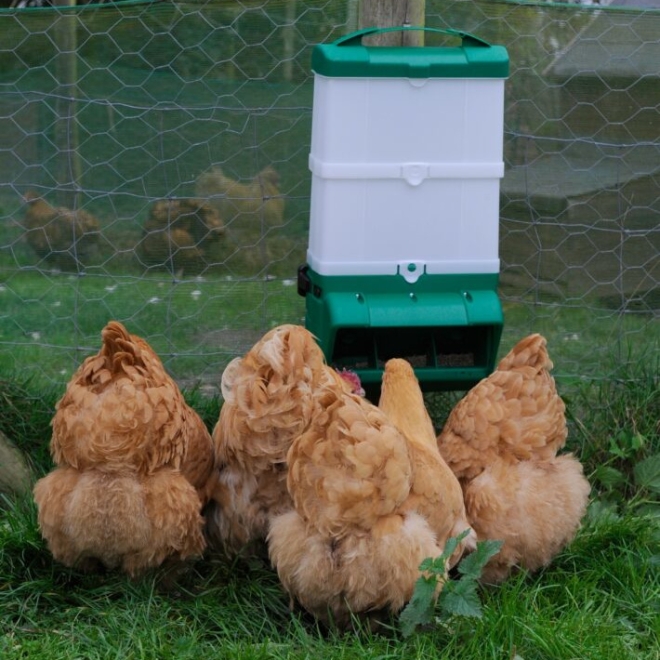 Geflügel-Futterautomat Wise Feeder 10kg, Futtertrog, mit zusätzlichen Silos erweiterbar bis 25kg