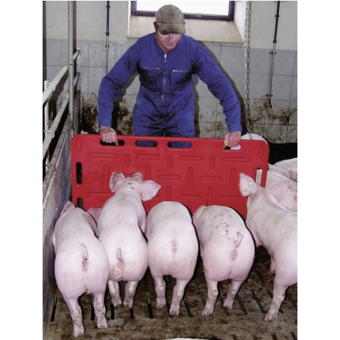 Schweine-Treibbrett 94x76cm, Rot, Treibhilfe für Schweine