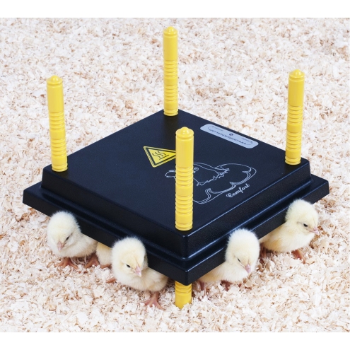Küken-Wärmeplatte Comfort 25x25cm, 13 Watt, Heizplatte für die Kükenaufzucht