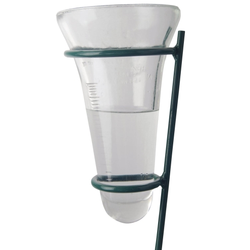 Esschert Design Regenmesser Glas, mit grünem Bodenstecker, Niederschlagsmesser TH6