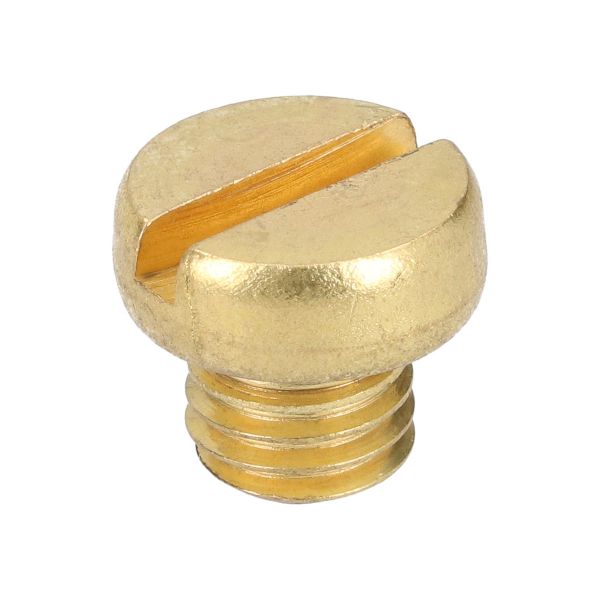 Carola Zylinderschraube Messing Ø10x19mm - Ventilschraube für Tränkebecken B58
