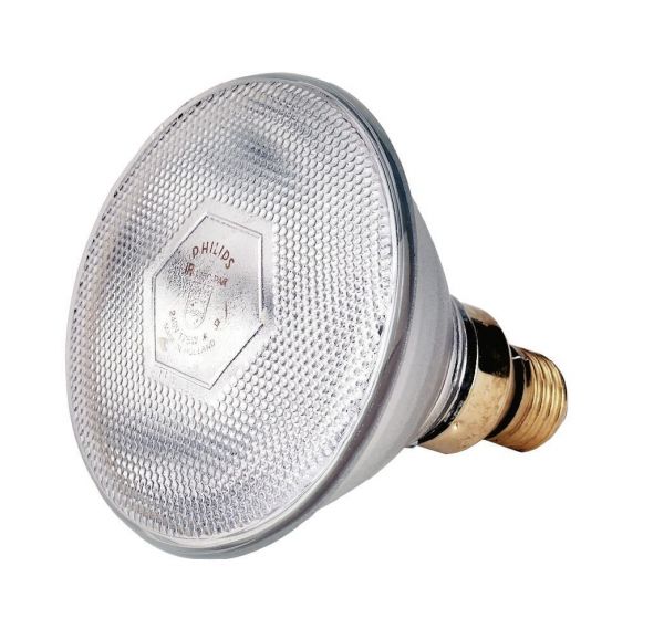 Philips Infrarot-Sparlampe, weiß, 175 Watt, für Infrarot-Aufzuchtstrahler, Wärmestrahler