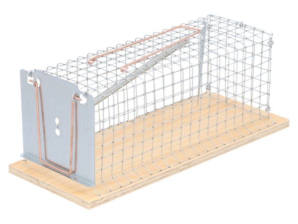Drahtkasten Rattenfalle Alive - 1 Eingang - Drahtkäfig Lebendfalle für Ratten