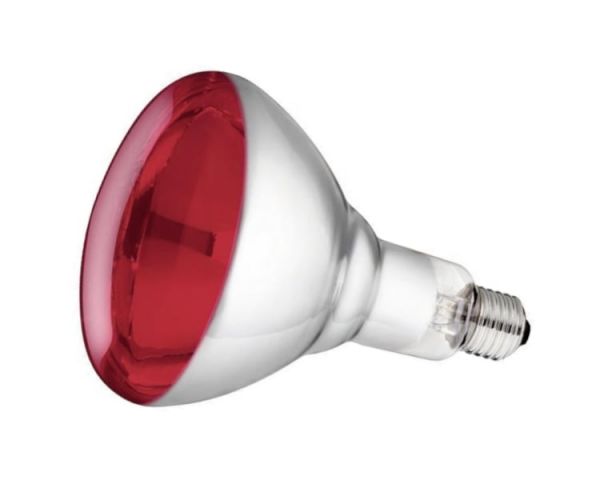 Philips Hartglas-Infrarotlampe, rot, 150 Watt, für Infrarot-Aufzuchtstrahler, Wärmestrahler