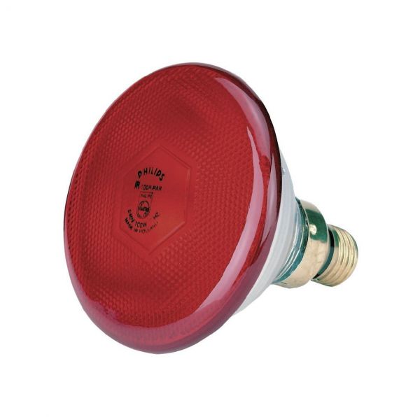 Philips Infrarot-Sparlampe, rot, 175 Watt, für Infrarot-Aufzuchtstrahler, Wärmestrahler