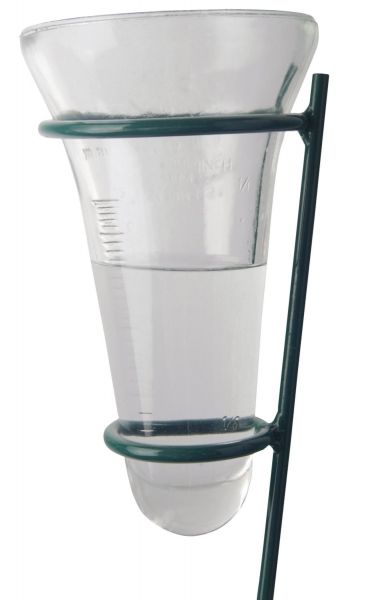 Esschert Design Regenmesser Glas, mit grünem Bodenstecker, Niederschlagsmesser TH6