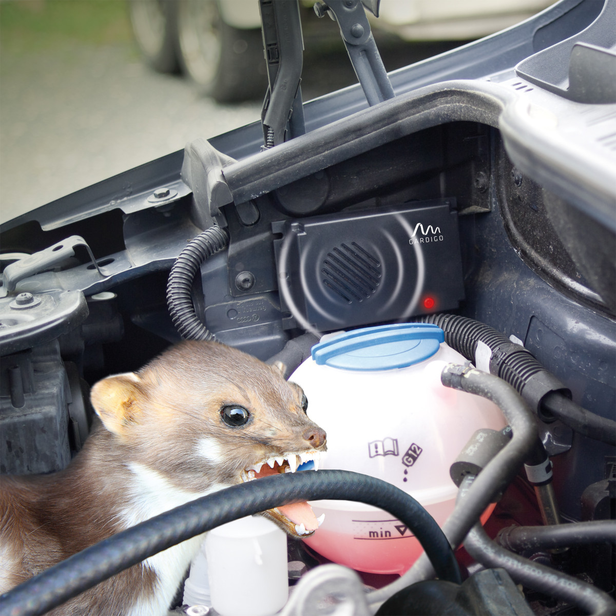 Mäuse-, Rattenfrei Mobil, Batterie